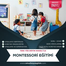 Montessori Eğitimi 
